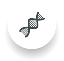 Imagen ilustrativa factores geneticos