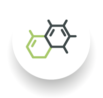 Imagen ilustrativa trastornos inmunologicos